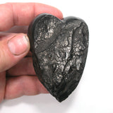 DVH 76g American Shungite Bituminous Coal Heart Fossil Fuel Climate Grief Healing Crystal 76x55x27 (4592)