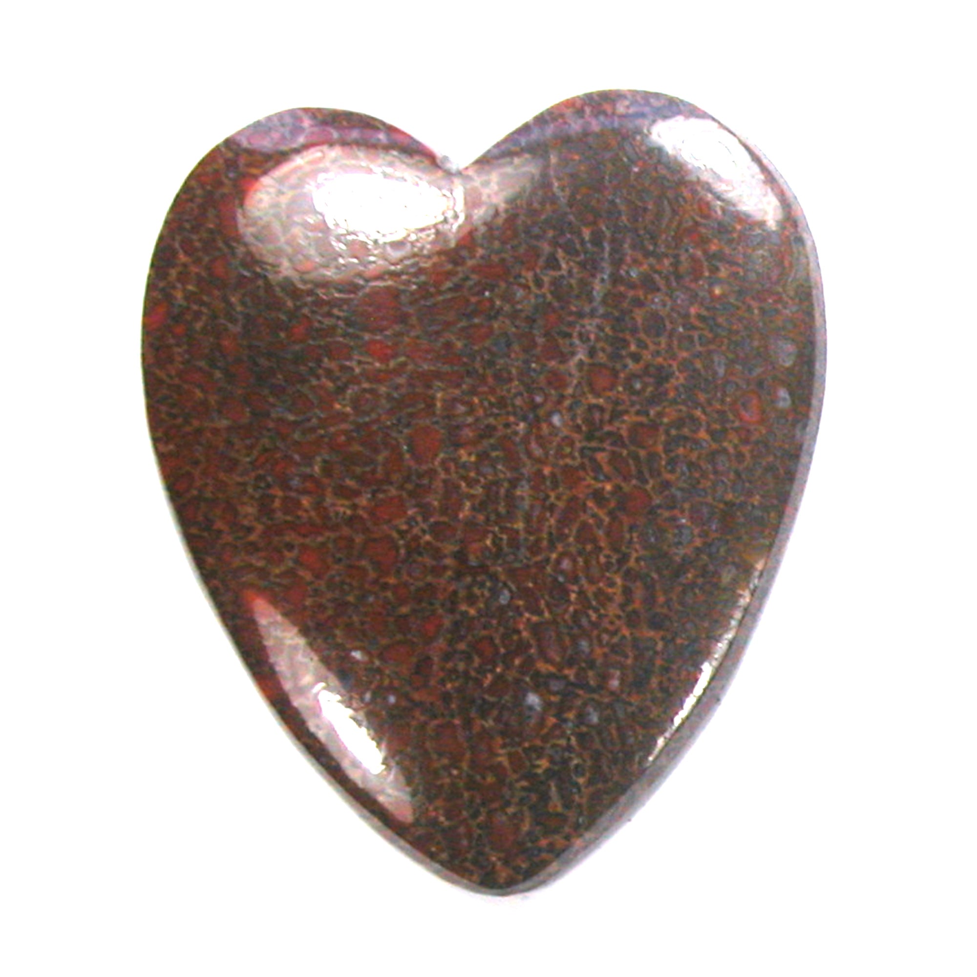 DVH Dinosaur Bone Heart Cabochon Fossil Dino Cab 49x42x5 (4991) - DVHdesigns