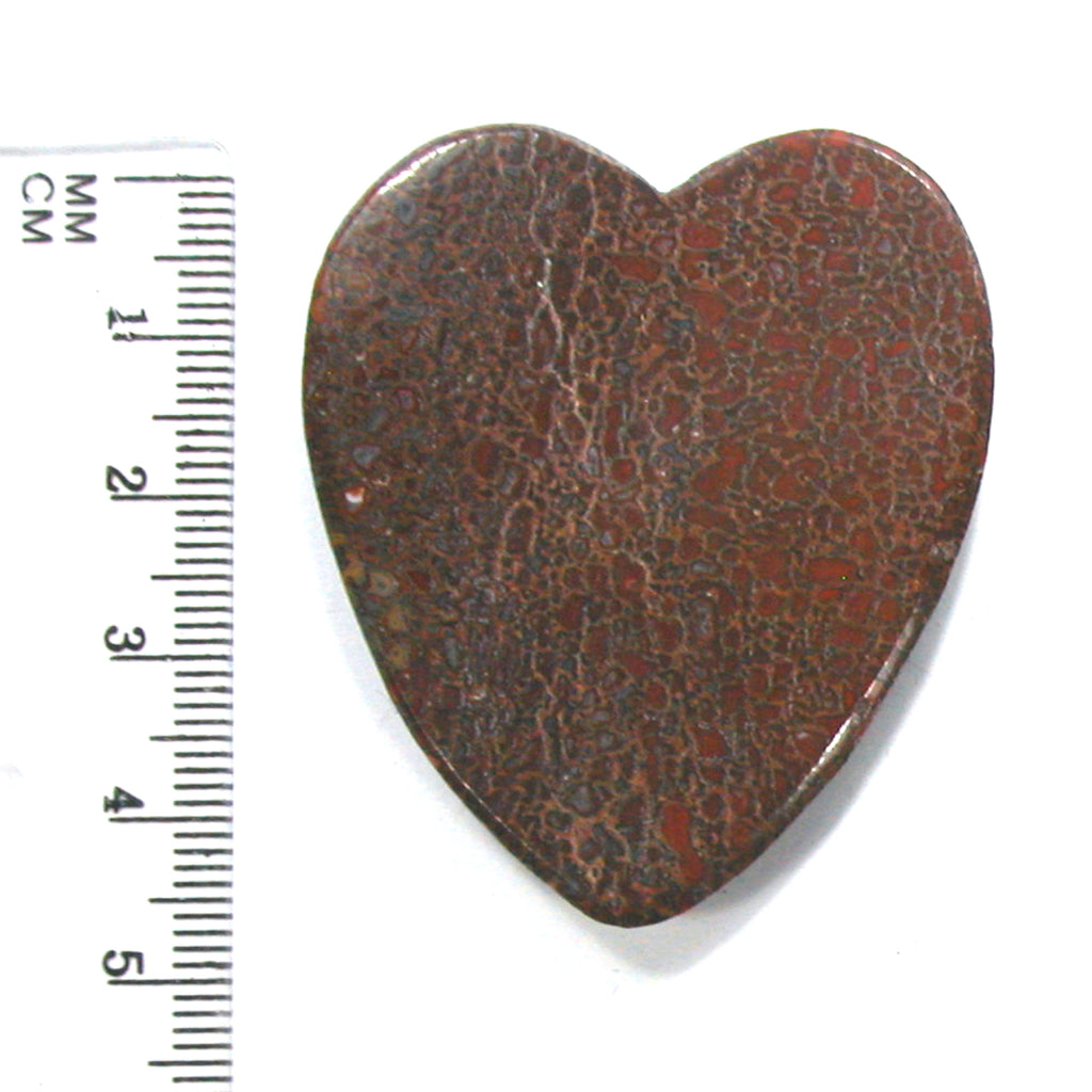 DVH Dinosaur Bone Heart Cabochon Fossil Dino Cab 49x42x5 (4991) - DVHdesigns