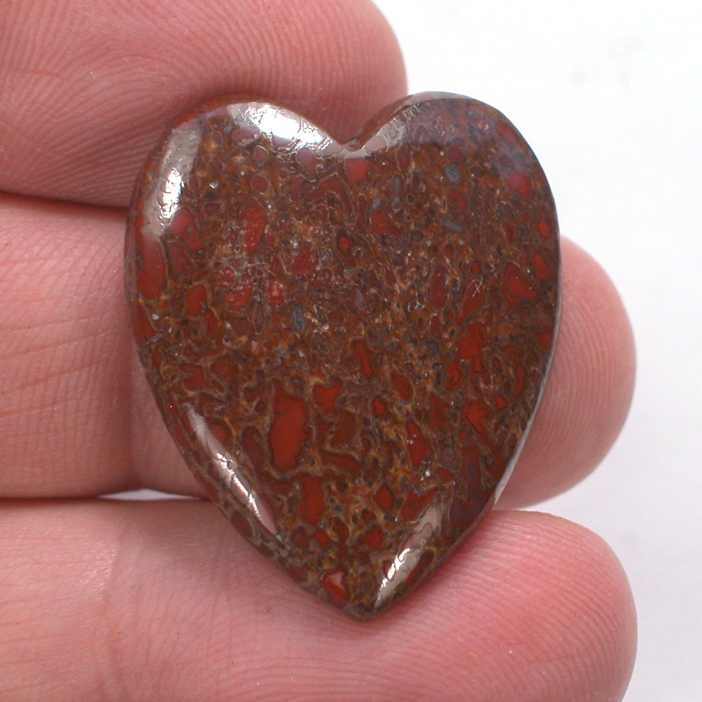 DVH Dinosaur Bone Heart Cabochon Fossil Dino Cab 30x25x5 (4996) - DVHdesigns