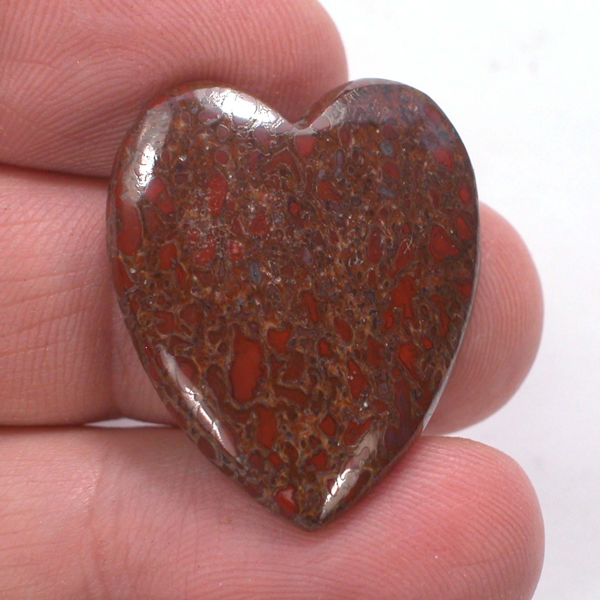 DVH Dinosaur Bone Heart Cabochon Fossil Dino Cab 30x25x5 (4996) - DVHdesigns
