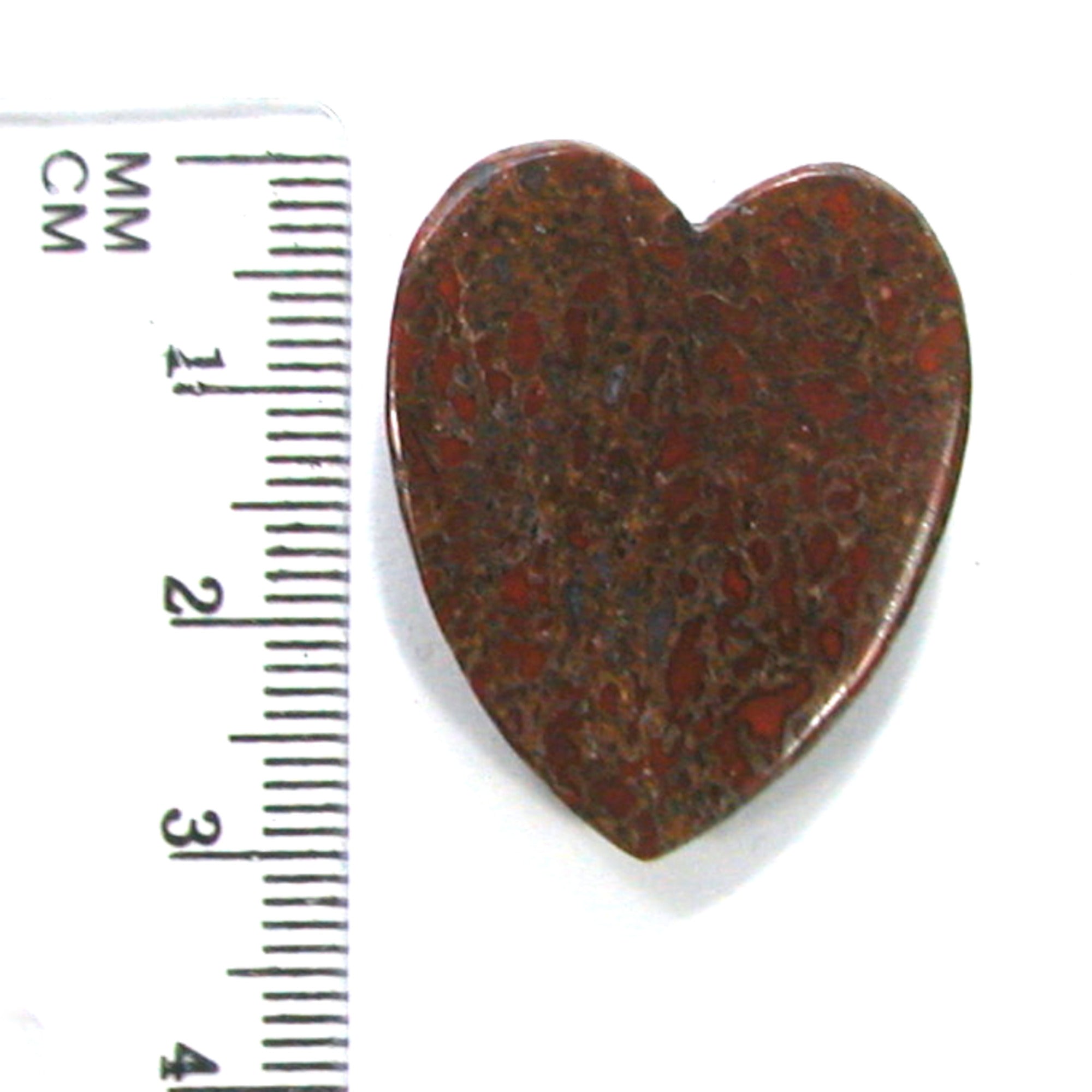 DVH Dinosaur Bone Heart Cabochon Fossil Dino Cab 30x25x5 (4996) - DVHdesigns