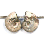 DVH Fossil Iridescent Ammonite Matched Pair Focal Beads 26x20x7 (2825)