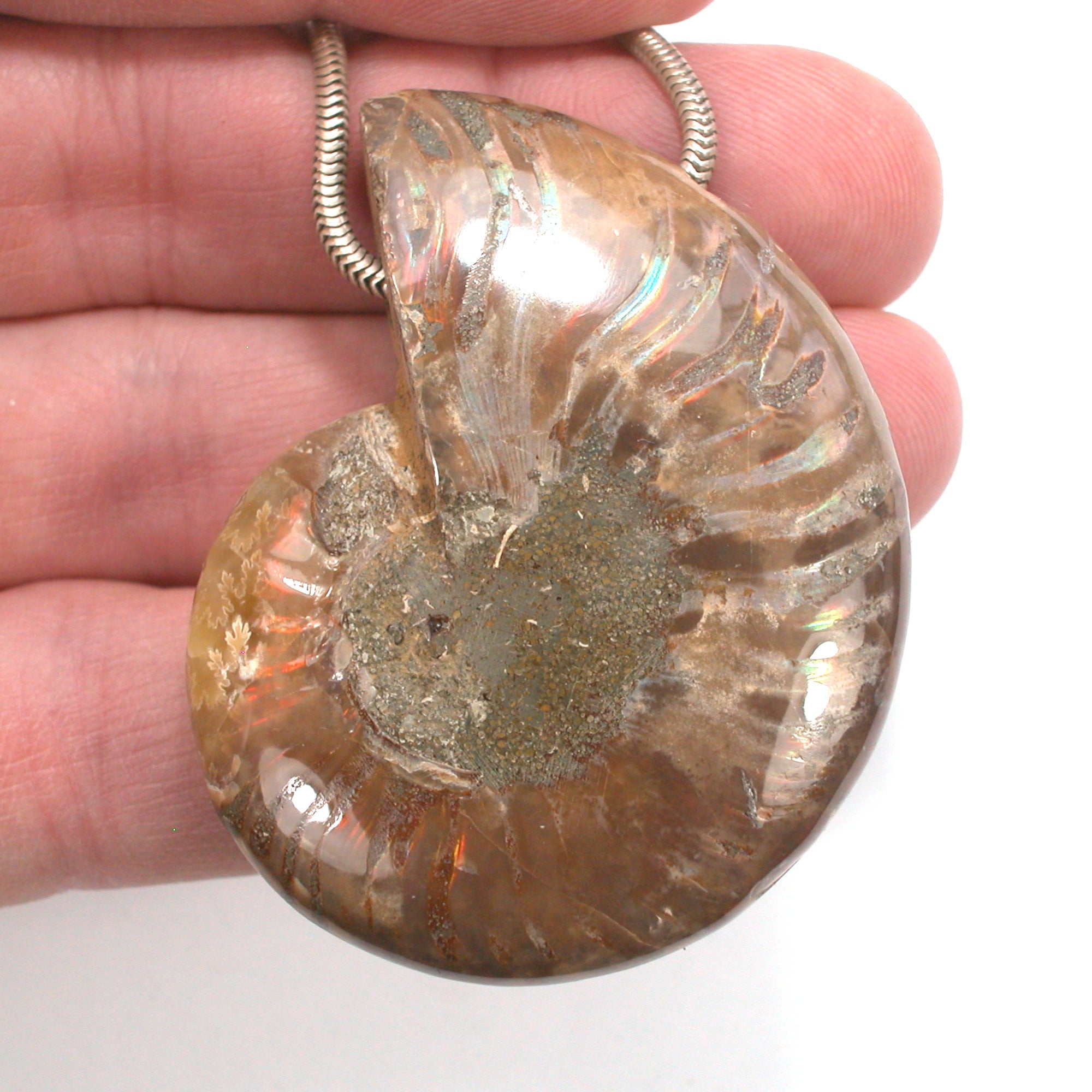 DVH Fossil Iridescent Ammonite Ammolite Focal Bead 55x44x15 (4420) - DVHdesigns