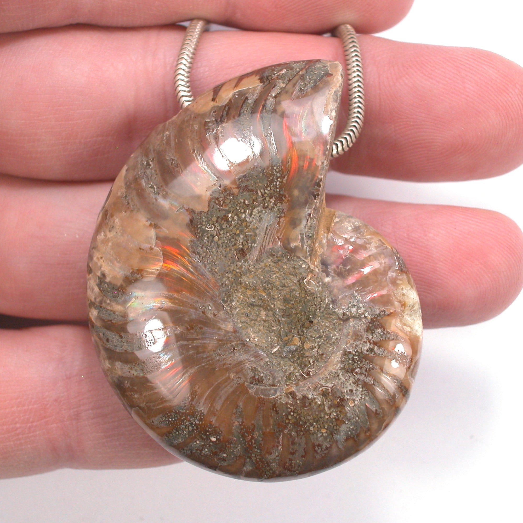 DVH Fossil Iridescent Ammonite Ammolite Focal Bead 55x44x15 (4420) - DVHdesigns
