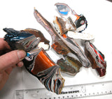 240g Portland Freightliner Fordite High Grade Colorful Lapidary Rough (5026)