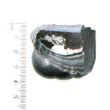 DVH Genuine Fordite Polished Face Specimen Rough Michigan (4680)