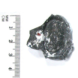 DVH RARE #0 Fordite Polished Specimen Genuine Michigan Material (4764)