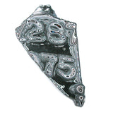 DVH RARE #28 & #75 Fordite Polished Specimen Genuine Michigan Material (4767)