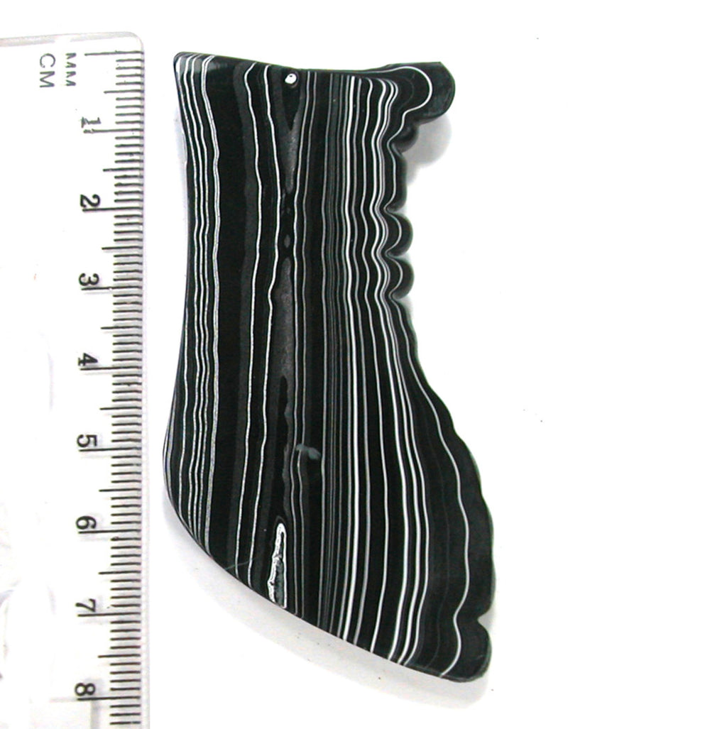 DVH Black Onyx Fordite Wing Silver Sheen Cabochon 70x35x7 (4692) - DVHdesigns