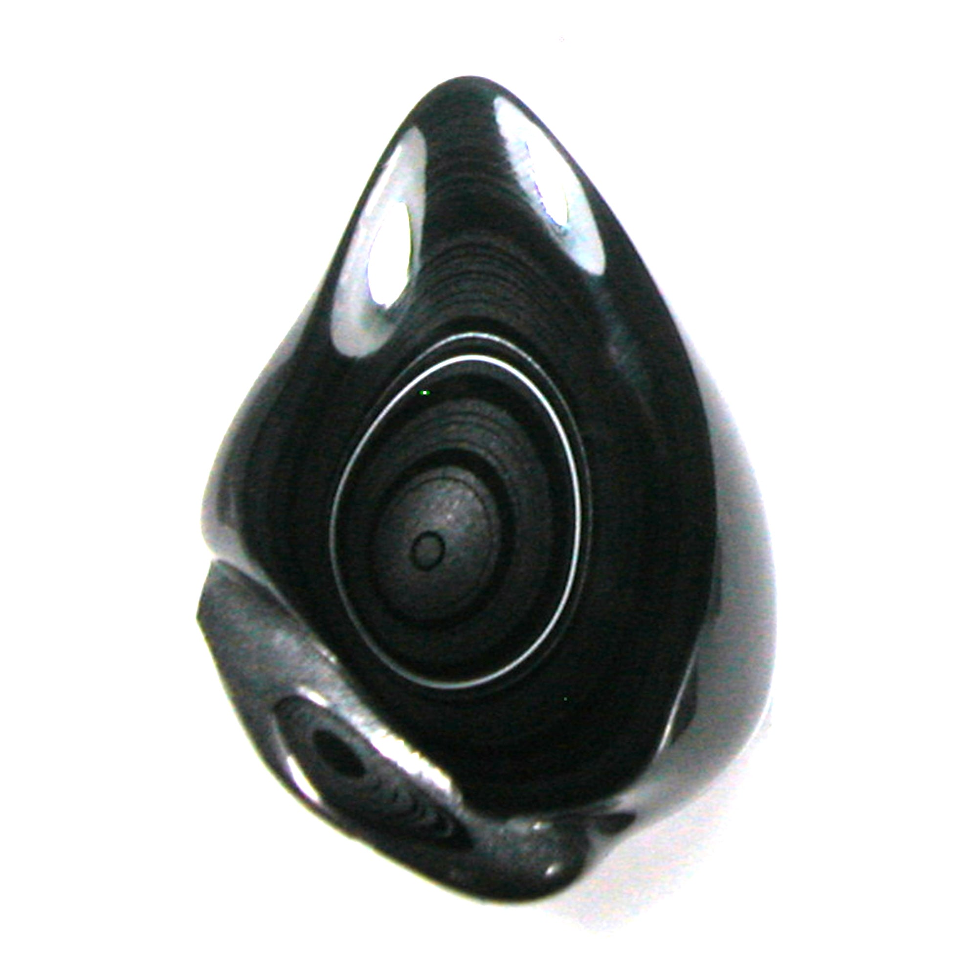 DVH Black Fordite Crown of Silver Sheen Polished Specimen Rough (4629) - DVHdesigns