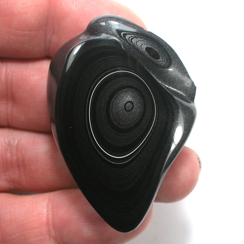DVH Black Fordite Crown of Silver Sheen Polished Specimen Rough (4629) - DVHdesigns