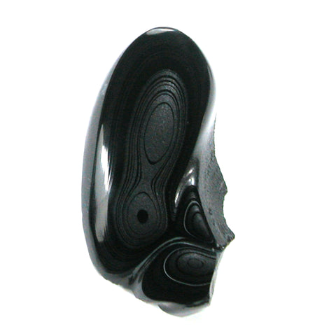 DVH Black Fordite Crown of Silver Sheen Polished Specimen Rough (4630)