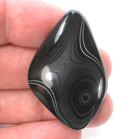 DVH Black Fordite Crown of Silver Sheen Cabochon 47x31x8 (4637)