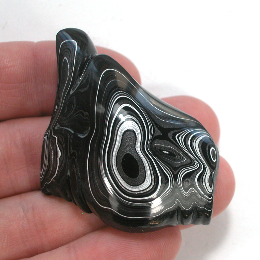 DVH Black Fordite Crown of Silver Sheen Polished Specimen Rough (4686) - DVHdesigns