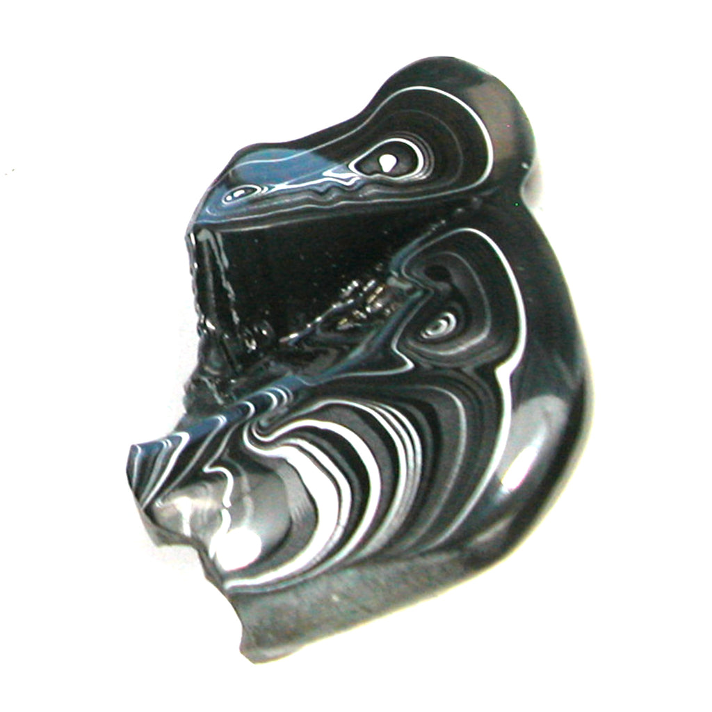 DVH Black Fordite Crown of Silver Sheen Polished Specimen Rough (4688)