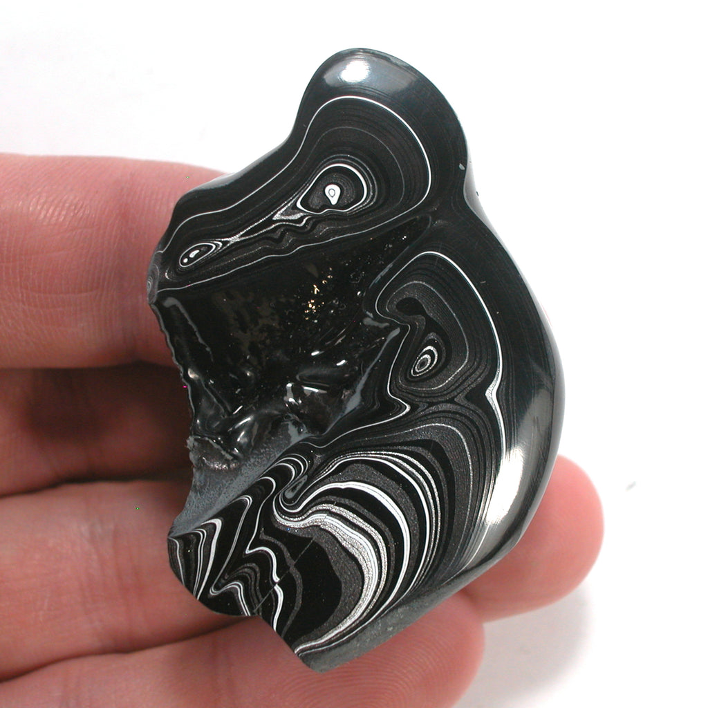 DVH Black Fordite Crown of Silver Sheen Polished Specimen Rough (4688) - DVHdesigns
