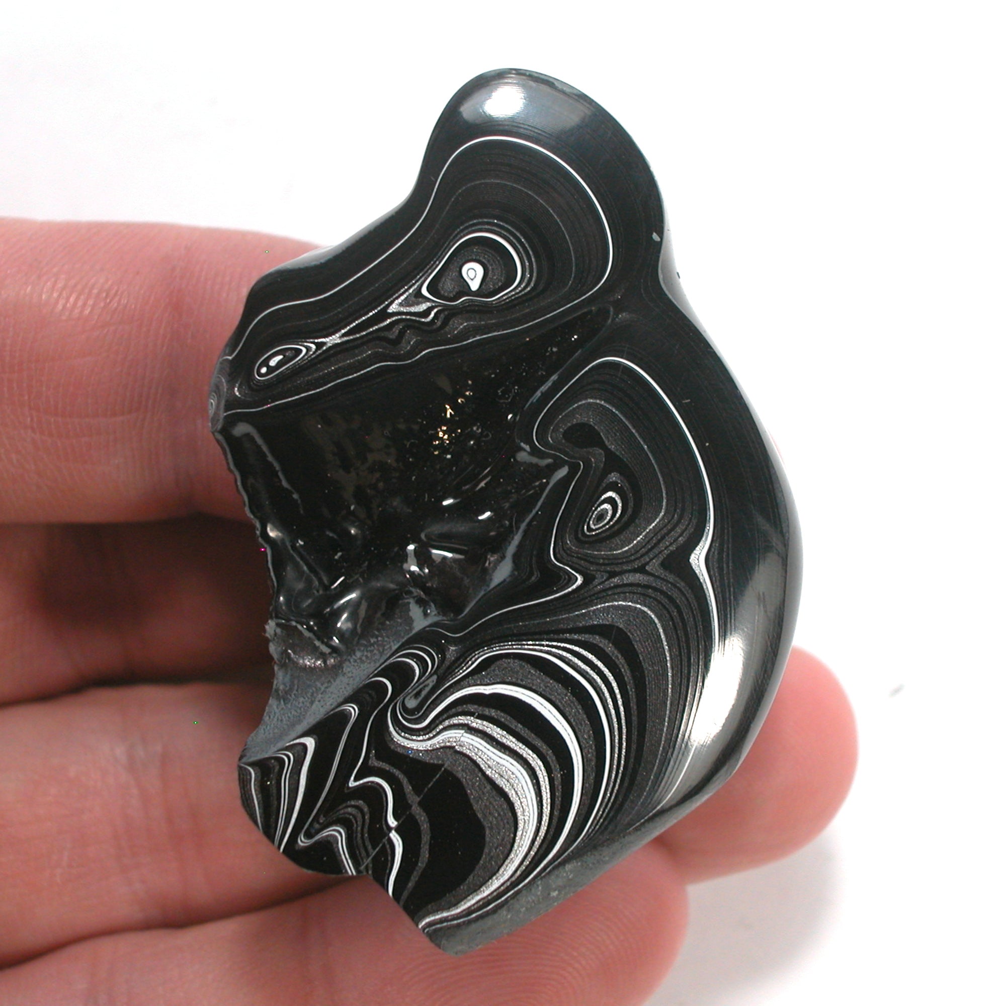 DVH Black Fordite Crown of Silver Sheen Polished Specimen Rough (4688) - DVHdesigns