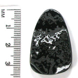 DVH Black Onyx Fordite Crown of Silver Sheen Cabochon 33x21x5 (4701)