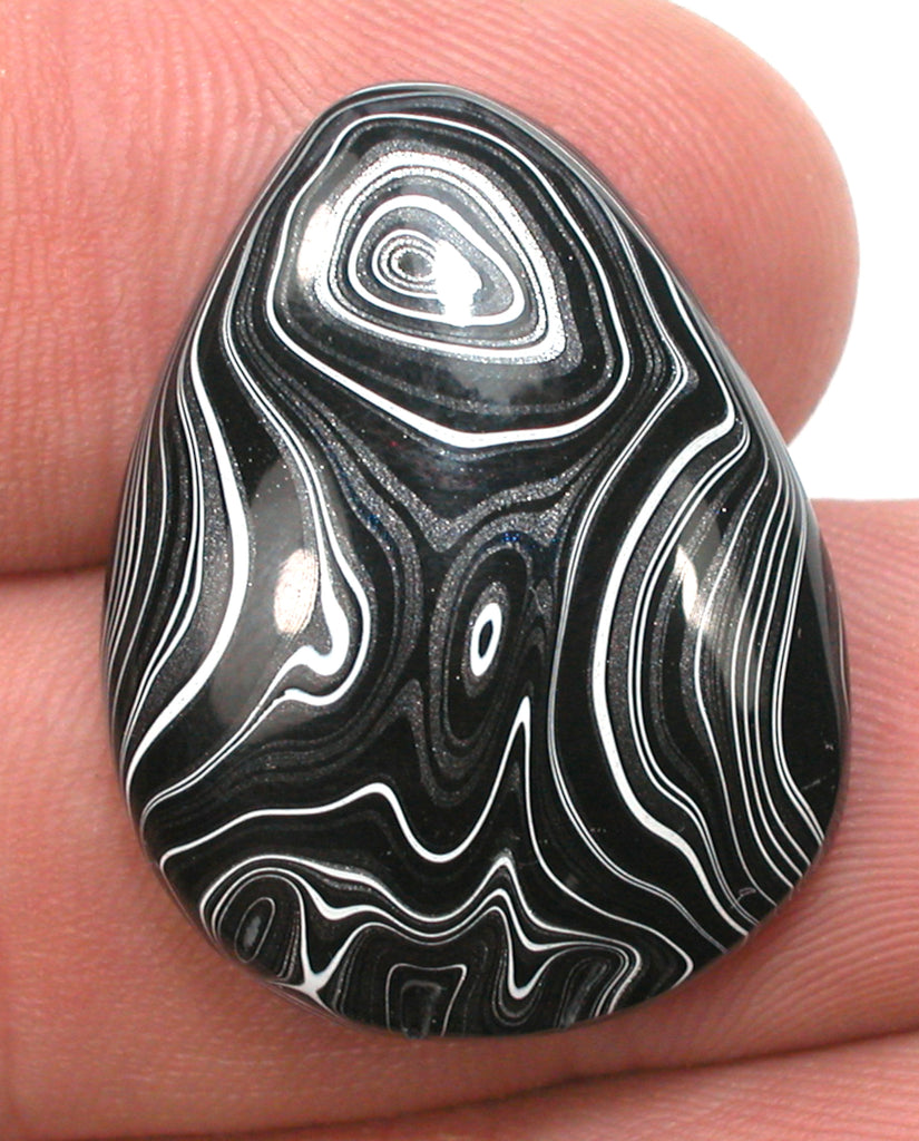 DVH JpWrnglr Black Onyx Fordite Crown of Silver Sheen Cabochon 31x24x7 (4894)