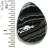 DVH JpWrnglr Black Onyx Fordite Crown of Silver Sheen Cabochon 31x24x7 (4894)