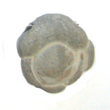 DVH Fairy Stone Concretion Bead Pendant Goddess Rock Quebec 36X36X10 (4671)