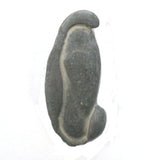 DVH Fairy Stone Concretion Goddess Rock Quebec 42x18x11 (4731)