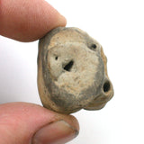 DVH Fairy Hag Stone Concretion Fossil Grass Hole Goddess Quebec 28x24x21 (4337)