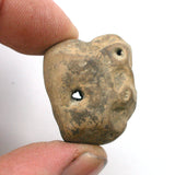 DVH Fairy Hag Stone Concretion Fossil Grass Hole Goddess Quebec 28x24x21 (4337)
