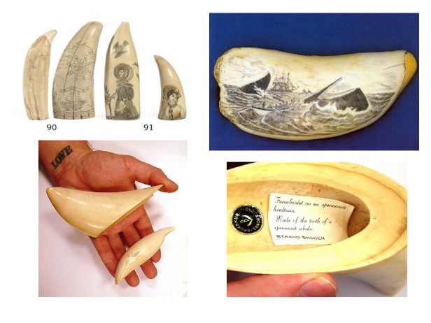 LECTURE RECORDING:  "Ivory:  Organic Gem from the Age of King Tusk" - DVHdesigns