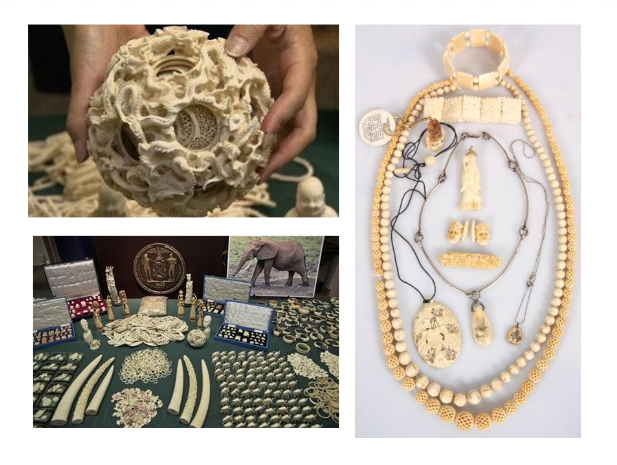 LECTURE RECORDING:  "Ivory:  Organic Gem from the Age of King Tusk" - DVHdesigns