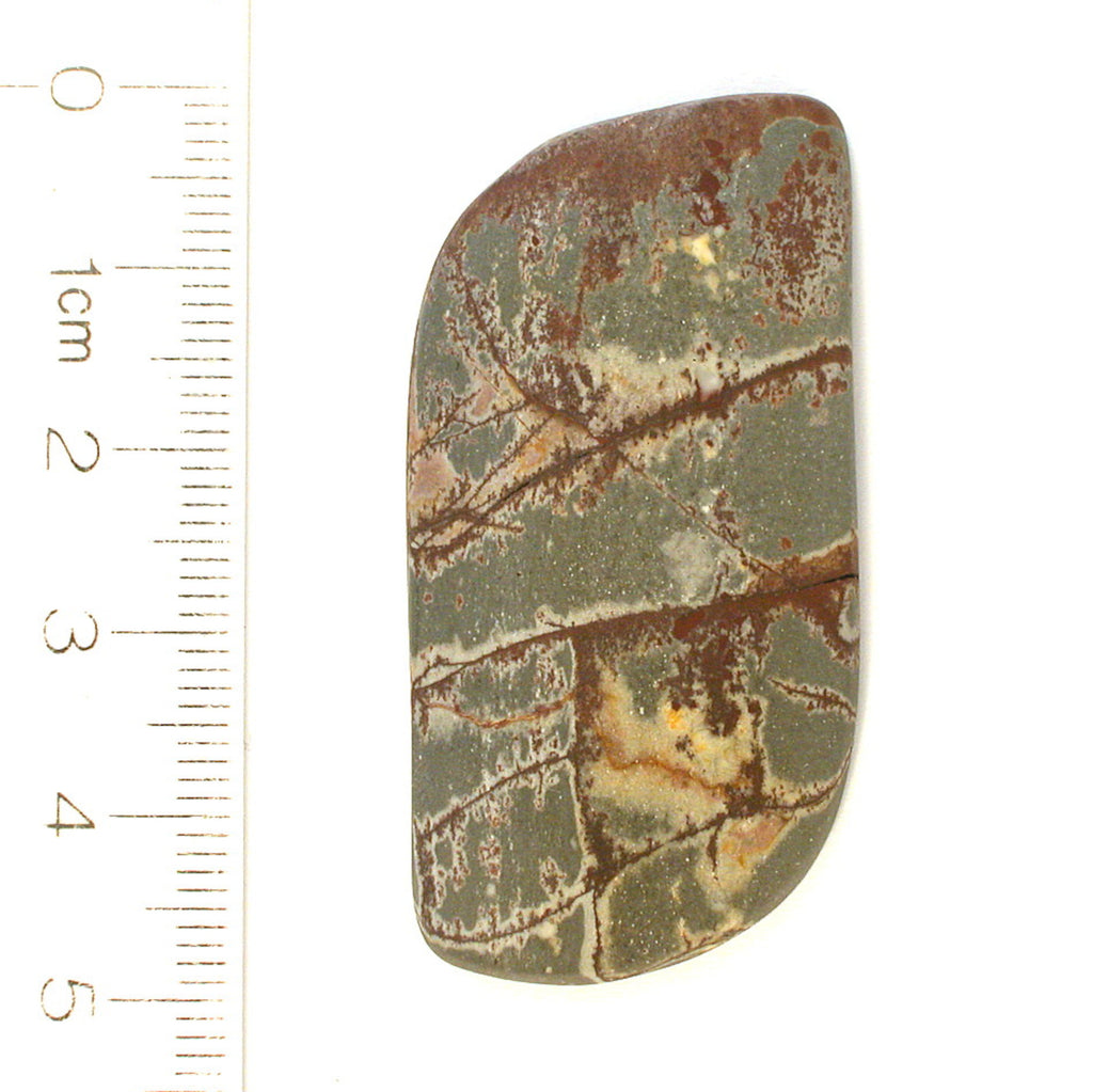 DVH Sonora Dendritic Jasper Matte Freeform Cabochon 50x25x7 (8518) - DVHdesigns