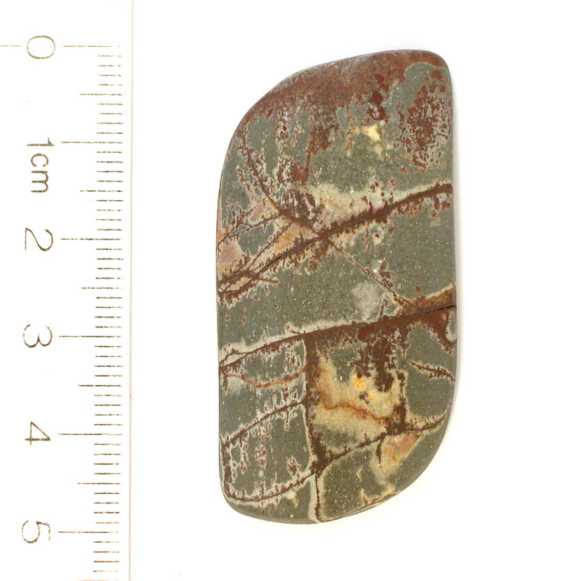 DVH Sonora Dendritic Jasper Matte Freeform Cabochon 50x25x7 (8518) - DVHdesigns