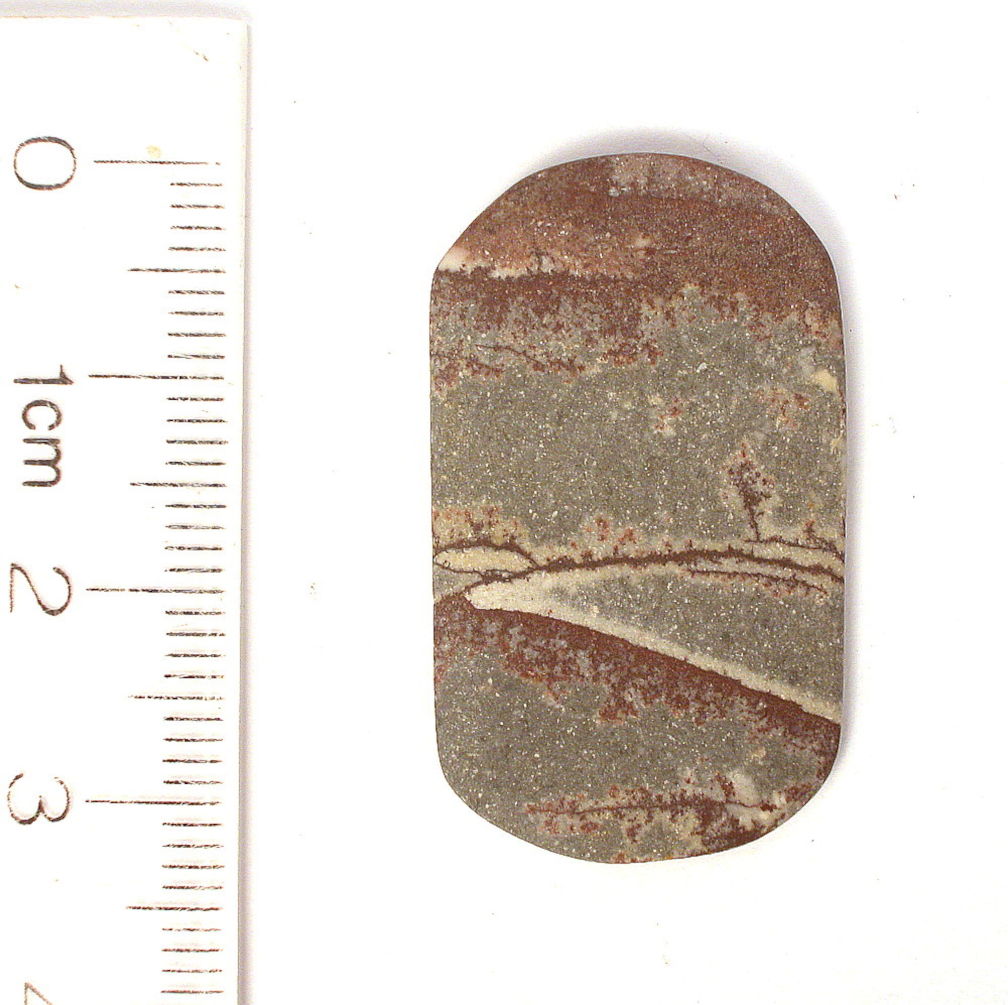 DVH Sonora Dendritic Jasper Rhyolite Matte Cabochon 33x20x3 (8684) - DVHdesigns