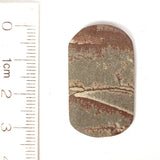 DVH Sonora Dendritic Jasper Rhyolite Matte Cabochon 33x20x3 (8684)