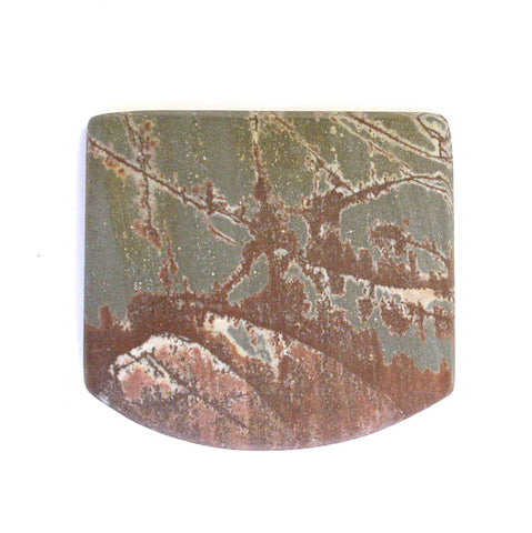 DVH Sonora Dendritic Jasper Rhyolite Matte Cabochon 24x26x6 (8717)