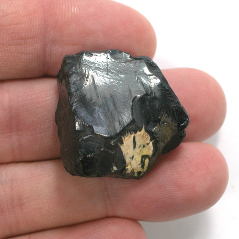 DVH 8.4g Genuine Whitby Jet Polished Specimen Face Carbon Fossil