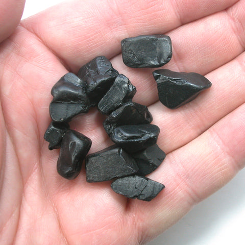 DVH 10g Genuine Whitby Jet Fossil Fuel Jewels for Trans Pride & Power (5235)