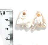 DVH Big Tooth Pearl Pair 2.5mm Hole Freshwater (5230)