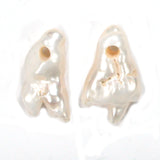 DVH Big Tooth Pearl Pair 2.5mm Hole Freshwater (5232)