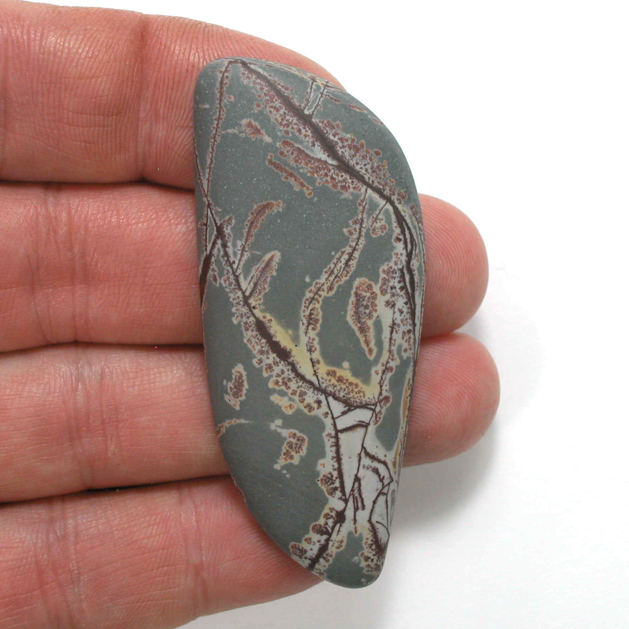 DVH Sonora Dendritic Jasper Rhyolite Cabochon Matte Cab 66x27x7 (4860) - DVHdesigns