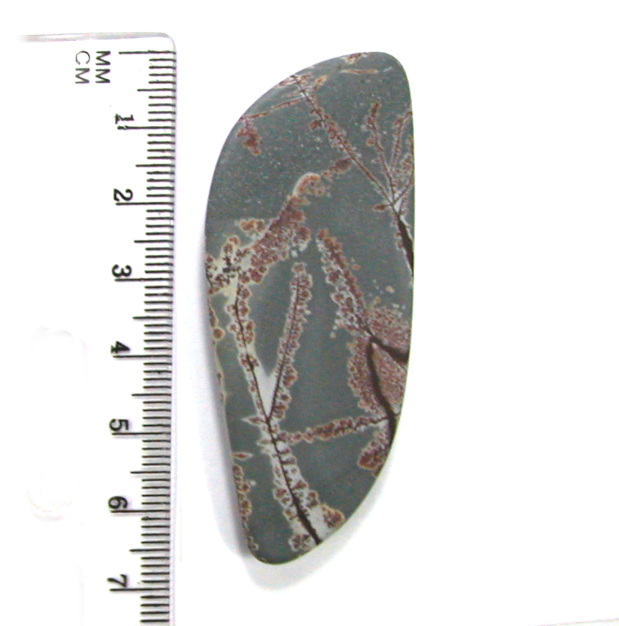 DVH Sonora Dendritic Jasper Rhyolite Cabochon Matte Cab 66x27x7 (4860) - DVHdesigns